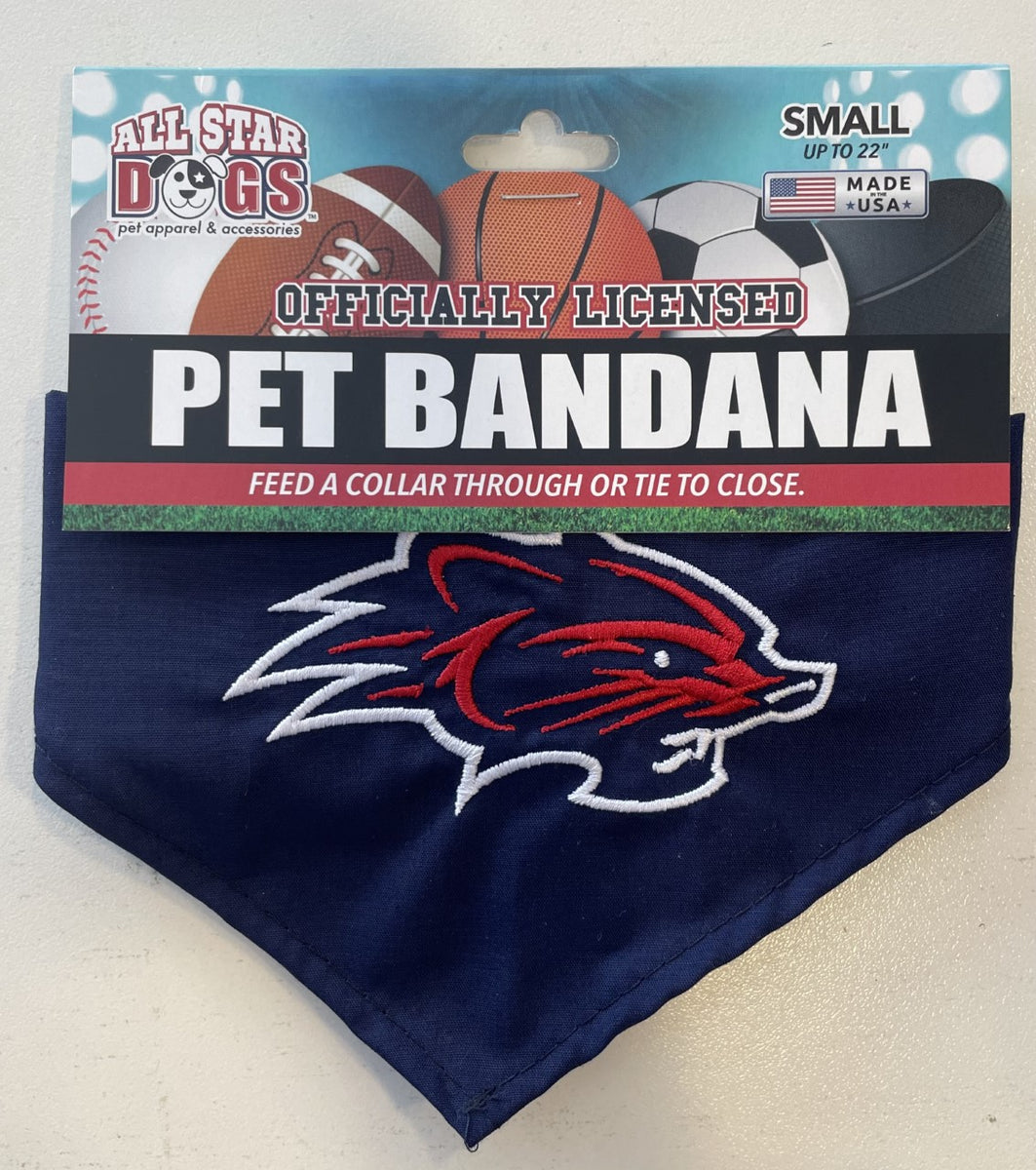 New Hampshire Fisher Cats Dog Bandana