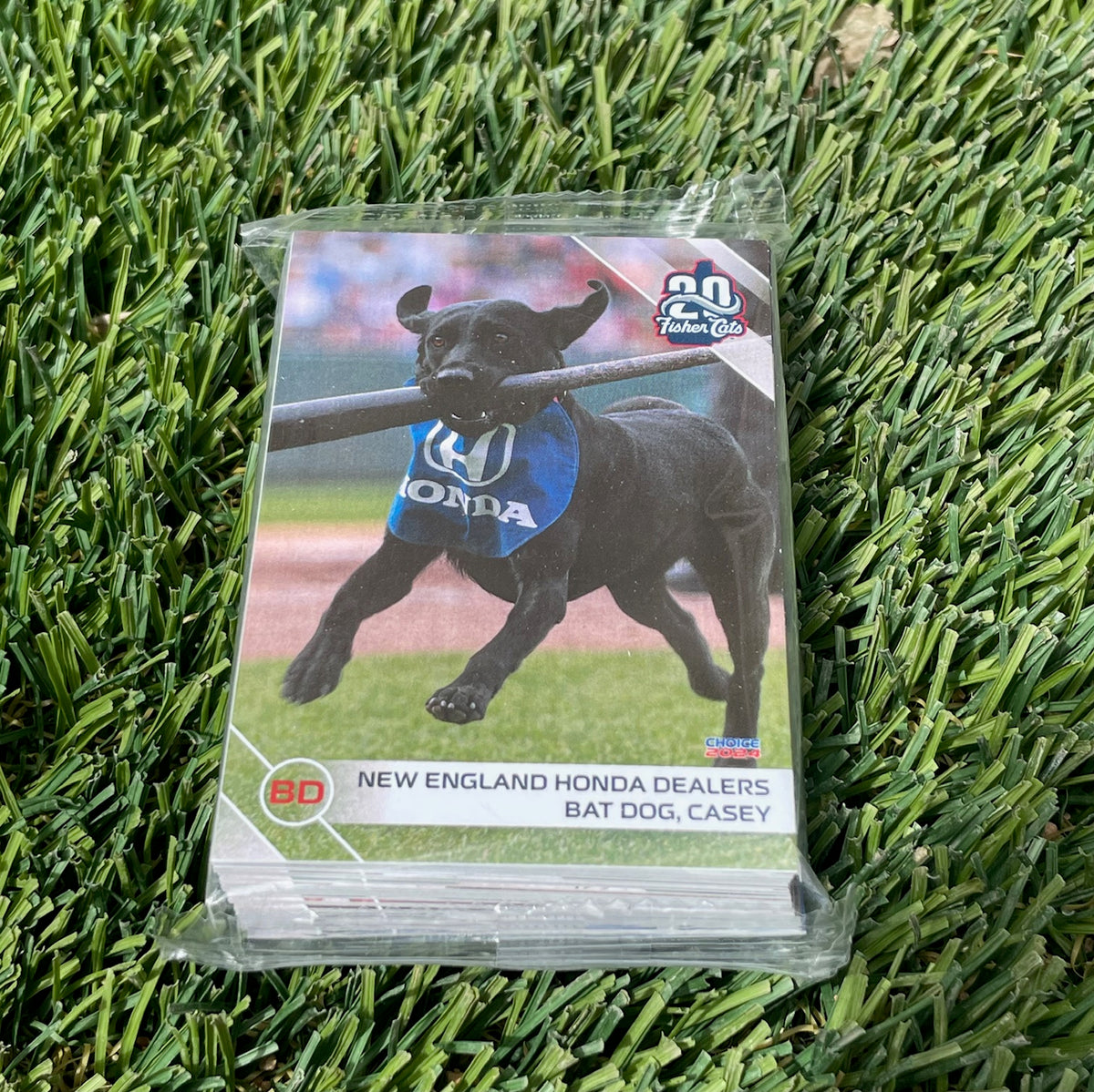 New Hampshire Fisher Cat 2024 Team Card Set New Hampshire Fisher Cats