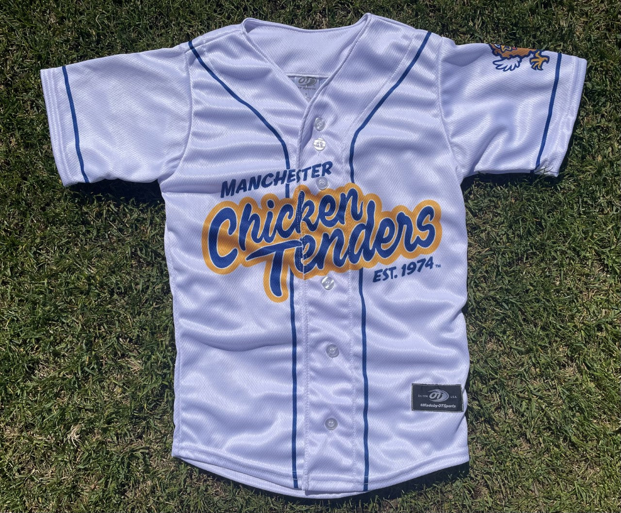 New Hampshire Fisher Cats Navy Road Replica Jersey